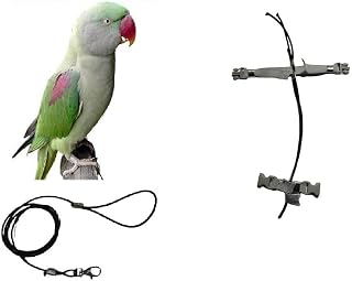 Petorina loros de tamaño grande, cuerda de 3 mm, elástica, color negro, cinta de 10 mm, colores a elegir, 2 conectores, metal o plástico ajustables, longitud 3 mm, color negro 1 m + amuleto