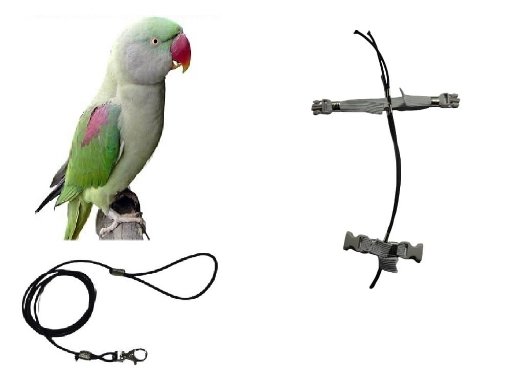 Peigne en paquet taille généreuse avec corde 3mm et élastique noir réglable