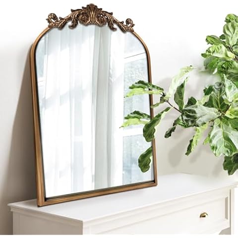 WAMIRRO Antique Baroque Wall Mirror 19"X27" Cover