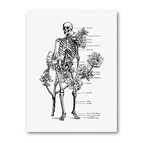 Preisvergleich Produktbild MHHDD Medizinisches Plakat des menschlichen Anatomieskeletts Schwarzweiss-Leinwanddruckpflanzenblume Vintage Wandkunstmalerei Bildklinikdekoration rahmenlos-42x60 cm