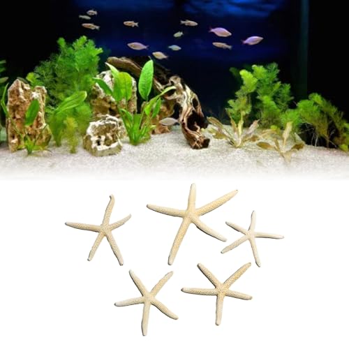 Decoração De Estrela Do Mar Para Tanque De Peixes MOUMOUTEN, Ornamento De Aquário Vívido, Modelo De