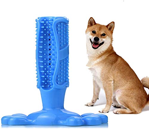 Dog Toothbrush Dental Chews Puppy Tooth Brush Teeth Cleaning Breath Freshener Pet Chew Toys for Large & Medium Dogs Pets (Blue)