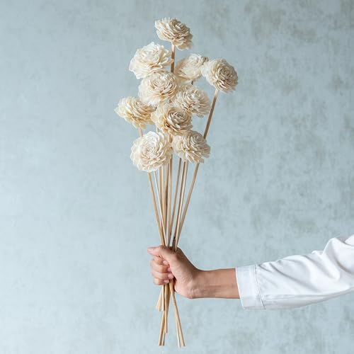 Image of White Sola Bingo 8 cm On Stem (10 Sticks) | Natural Dried Flower | Eco-Friendly Flowers for Home, Office, Bedroom, Table Decoration and Craft Items Corner (Without Vase Pot)