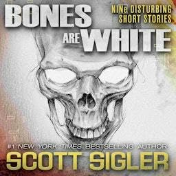 BONES ARE WHITE copertina