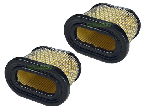 perfektGarten Lot de 2 filtres à air compatibles avec moteur Briggs & Stratton B&S OHV INTEK PRO 5,5 6,5 CV 498596 4224