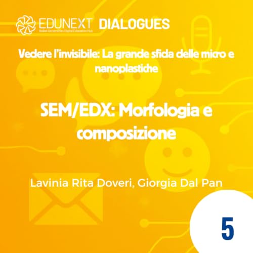[05] SEM/EDX: Morfologia e composizione