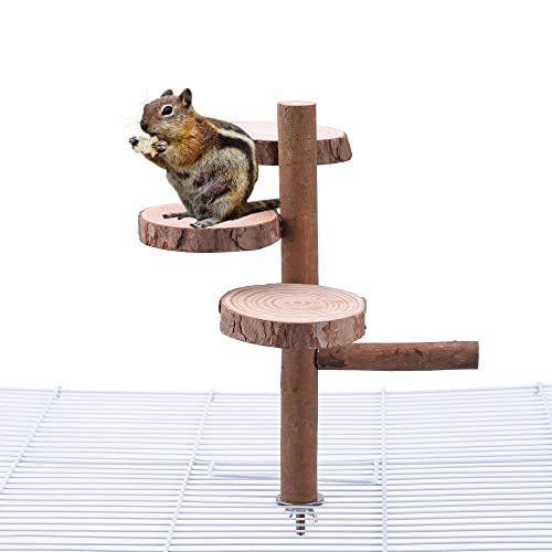 Mogoko Natural Wood Bird Perches Parrot Perch Birdcage Stands For Parakeets Cockatiels, Conures, Macaws, Lovebirds, Finches #TOP5
