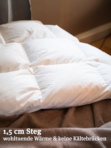 Paradies Daunendecke 155×220 cm für das ganze Jahr mit 840g Füllgewicht