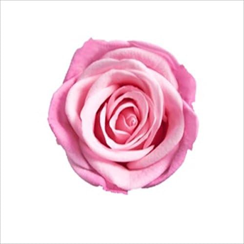 Millennium Art Pink/Burgundy Vermeil A Sister Maquillage 8 Wheeled, 直径約3.5-4cm、高さ約2.5-3cm