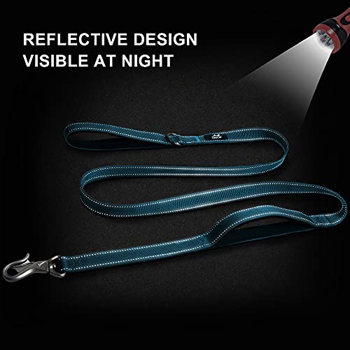 Twoear 4Ft 1In Strong Blue Dog Leash With 2 Padded Handles, Traffic Handle Extra Control, Comfortable Soft Dual Handle, Auto Lock Hook, Reflective Walking Lead For Small Medium And Large Dogs #TOP4