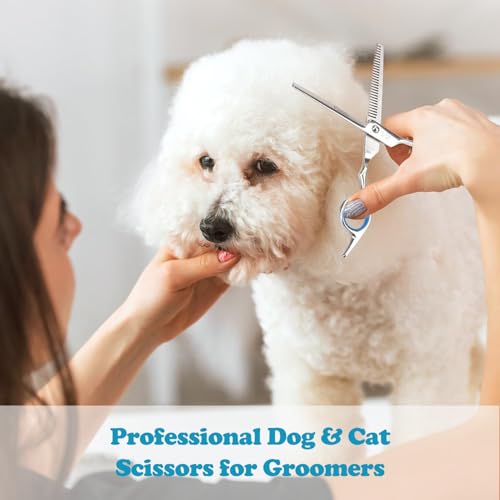 YSYONBOE Hundeschere Set Profi 5-in-1, 4CR Fellschere für Hunde Professionelle Hunde Scheren mit Rundspitze, Gebogene Schere Edelstahl Fellpflege Schere für Katze Hunde