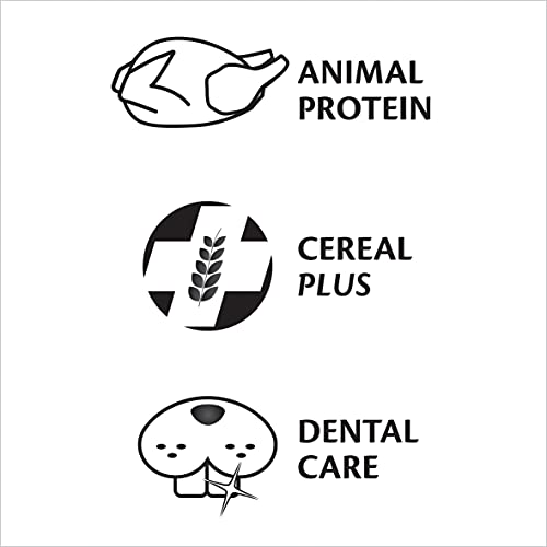 VERSELE-LAGA - Complete Rat & Mouse - Eiweißreiches extrudiertes Alleinfutter für Ratten und Mäuse - 2kg
