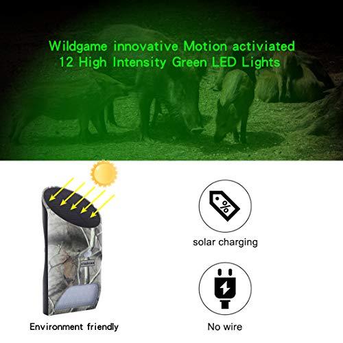 Feeder Hog Light Vizzlema Outdoor Solar Feeder Light For Hunting With Motion Sensor And Green Light For Game Animal Hunting (Pack Of 2) #TOP2