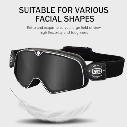 Proberos® Grey Motorcycle Goggles - Image 4