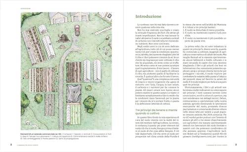 Il Manuale Del Suolo Vivente. La Guida No-Till Per Coltivare Senza Arare - 7