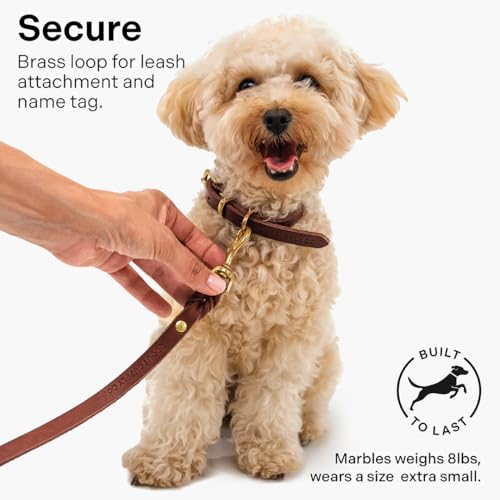 Classic Genuine Leather Dog Collar | Dog Collars for Medium Dogs, Small Dogs, Large Dogs & Extra Large Dog | Wide Dog Collar | Heavy Duty Dog Collar | Dark Brown (S: 0.8" Wide for 10.5"-13.5" Neck) by Scout Supply Co. - Image 5