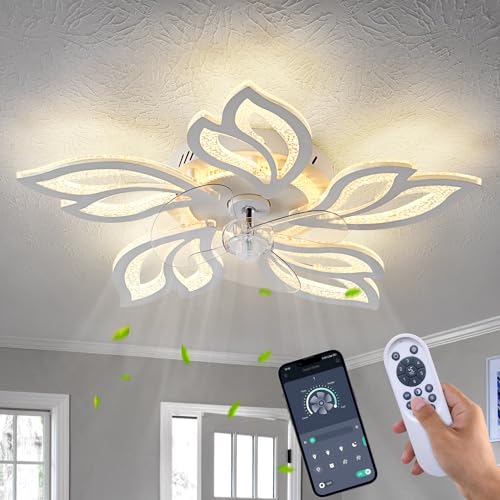haodengshi 25" White Modern Geometric Ceiling Fan with Lights, 3