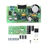 Soldering Practice Electronic Kit Project TD2030 Single Channel Power Amplifier
