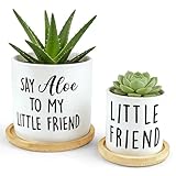 Msyueos Say Aloe to My Little Friend Planter Pot, Funny Plant Pots, Aloe Plant Pot Succulent Pots with Tray Set of 2 Flower Pots Indoor Pot - Without Plants, Office Home Windowsill Gifts (No Plant)