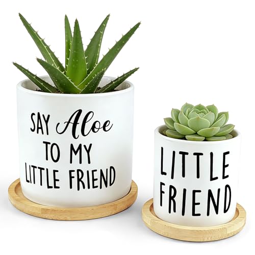 Msyueos Aloe to My Little Friend Planter Set of 2
