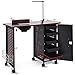 WATERJOY Steel Frame Manicure Table Nail Station, Manicure Salon Spa Nail Art Desk Workstation Beauty Salon Equipment with LED Light Nails Lamp Table and 5 Drawers