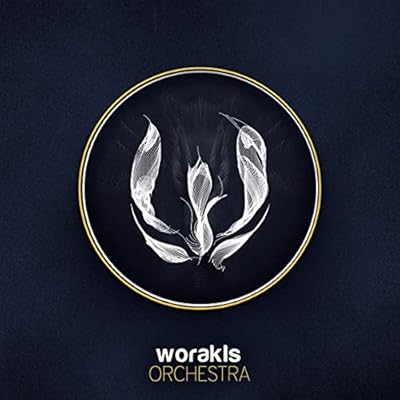 Orchestra Vinyl
