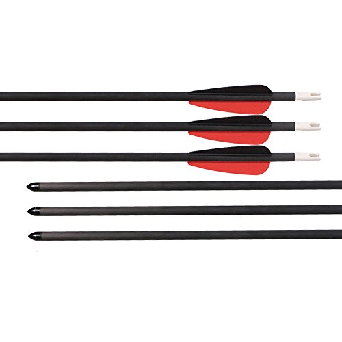 Huntingdoor Archery 24Inch Youth Arrows For Compound Bows Spine 250 Fletched Pure Carbon Fiber Shaft Practice Target Shooting Arrows For Kids Youth Women 6 Pack #TOP1