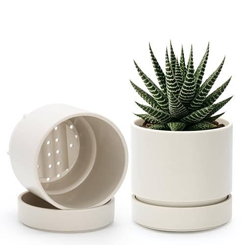 Phoenix Vine 4 Inch Planter Pot with Drainage Hole & Saucer, Deep Water Catch Tray, Straight Cylindrical Round Pot for Plants, Oatmeal, Pack of 2, 23-E-R-2