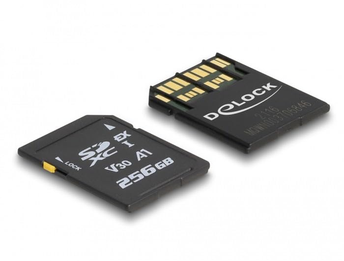 DELOCK TARJETA DE MEMORIA SD EXPRESS 256 GB