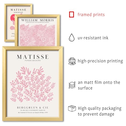 ANERZA 16 PCS Framed Pink Wall Art Decor, Matisse Wall Prints for Bedroom, Gallery Wall Frame Set, Minimalist Posters for Living Room Aesthetic, Collage Kit, Teen Girls Dorm Home Artwork - Thumbnail 3
