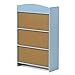 Furinno Lova Bookshelf with Storage Cabinet, 2-Shelf with Doors, Light Blue