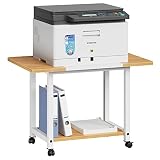 YAOHUOO Large Printer Stand with Storage Shelf, 2-Tier Under Desk Printer Tables for Small Spaces, O