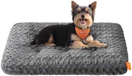 FEANDREA Hundebett, 75 x 50 cm, weiche Polsterung, waschbar, rutschfest | Hundekissen , für kleine Hunde, flauschige Hundematte, Plüsch, schiefergrau, BENGAL Kollektion PGW291GN01