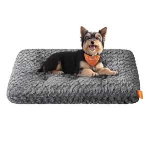 Feandrea Hundebett, Hundekissen M, für kleine Hunde, Flauschige Hundematte, Plüsch, 80 x 50 cm, weiche Polsterung, waschbar, rutschfest, schiefergrau PGW291GN01
