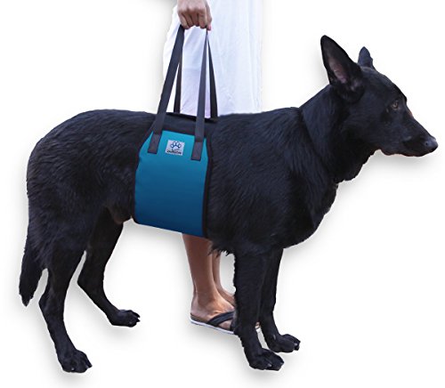 Blue Dog Lift Support Harness for canine aid - Lifting Older K9 with handle for Injuries, Arthritis or Weak hind legs & Joints. Medium and Large breed Assist Sling for mobility & Rehabilitation