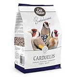 chardonneret chant youtube Ingrédients sains en provenance de Belgique.