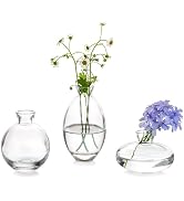 Glasseam 12in Clear Vase for Decor and Flowers