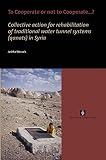 To Cooperate or not to Cooperate . . . ?: Collective action for rehabilitation of traditional water tunnel systems (qanats) in Syria (Aup Dissertation)