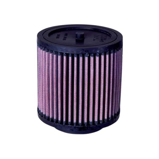 K&N Engine Air Filter: High Performance, Powersport Air Filter: Fits 2003-2020 HONDA (FourTrax Rancher, Pioneer, Deluxe, FourTrax Foreman, Rancher AT, Big Red, Rubicon, GPScape, Rincon) HA-5000