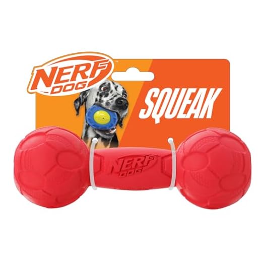 Nerf Dog Langhantelquietschspielzeug, mittelgroß