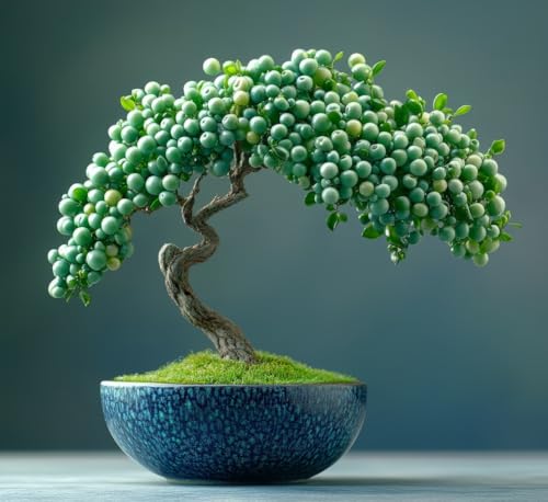 Green Crab Apple Bonsai Seeds
