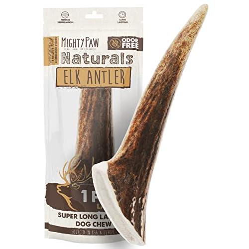 Mighty Paw Elk Antlers for Dogs | Large Size 8'' Premium Deer Antlers, Pets &Puppies. Long Lasting Aggressive Chewers. Dog Antler Chews for Large &XL Dog,1 Count (Pack of 1) 1 Whole Large