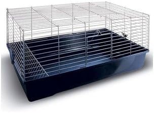 rabbit pet supplies