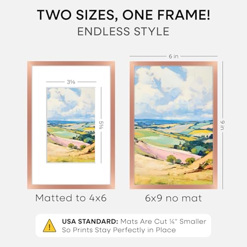 Image of Homeforia 6x9 Rose Picture Frame, High-End Metal, 4x6 Mat, Glass | High End Aluminum, Tempered Glass, Acid-Free 4x6 Removable Mat, 6x9 in Edge-to-Edge Display 9x6, Wall Kit, Set Of 1