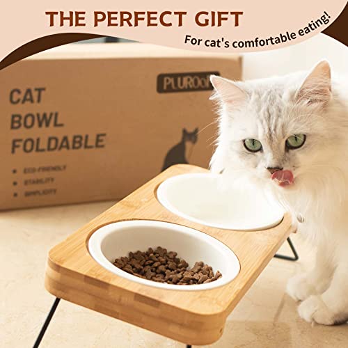 Pluroof Ceramic Elevated 15°Tilted Cat Bowls, Cat Raised Food And Water Feeding Dishes Bowls, Non-Slip Metal Frame Stand Feeder Bowl Set For Cats And Small Size Dogs #TOP6