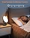 HIBOITEC Light Therapy Lamp, UV-Free 10000 Lux Therapy Light, Rotatable Sunlight Lamp with 3 Color Temperature & 5 Adjustable Brightness Levels & Timer & Memory Function