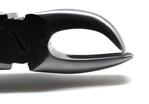 Dental Tartar Forcep 4.5" Calculus Remover Tooth Scraper Veterinary Instrument #TOP3