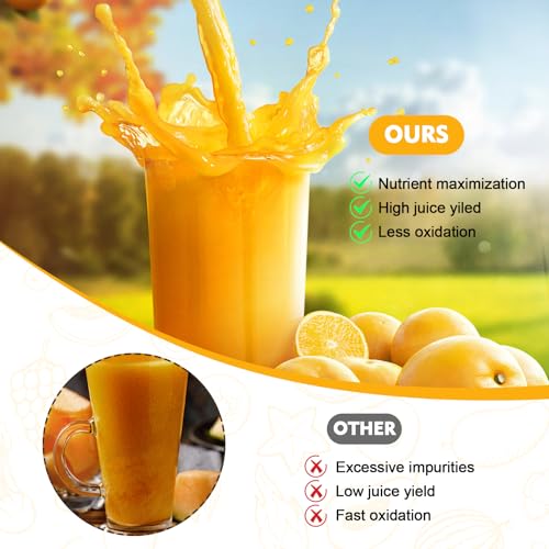 Masticating Juicer Attachment for KitchenAid All Models Stand Mixers - Cold Press Slow Juicer with Large Feed Chute, 30% Higher Juice Yield, Easy Assembly, Fruits Vegetables By Fedowal