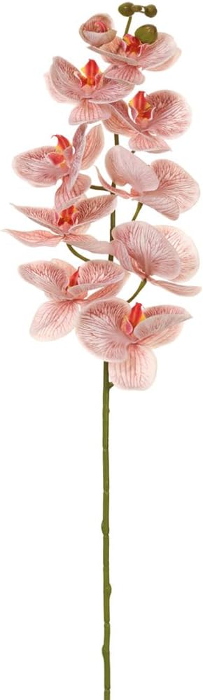 42.5 Real Touch Silk Phalaenopsis Orchid Flower Stem Cinnamon Pack of 6