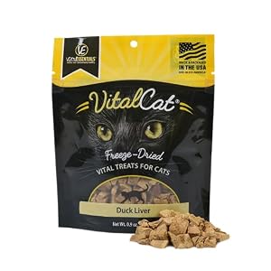 Vital Essentials Cat Treat